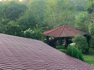 Image 4 - 918249