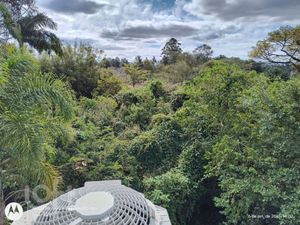 Image 20 - 918392