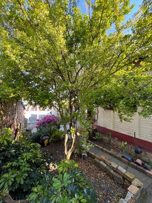 Image 23 - 918436