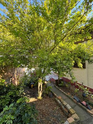 Image 18 - 918436