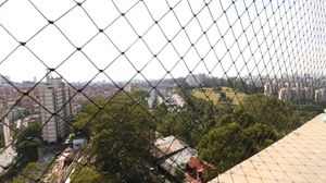 Image 6 - 918601