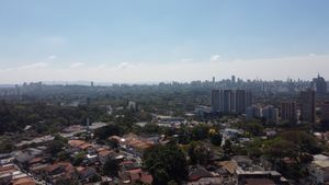 Image 39 - 918694