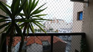 Image 7 - 918719