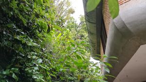 Image 9 - 918721