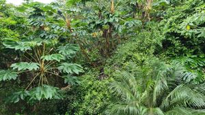 Image 16 - 918721
