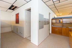 Image 13 - 918733