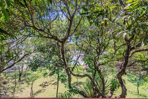 Image 82 - 918778