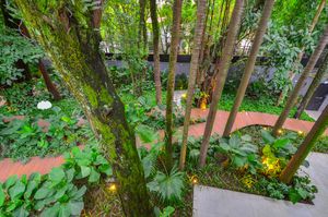 Image 69 - 918806