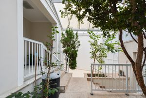 Image 12 - 918818