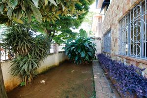 Image 39 - 918832