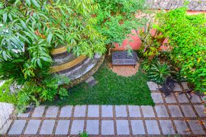 Image 57 - 918850