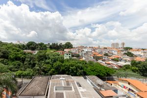 Image 24 - 918856