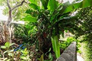 Image 27 - 918859