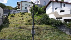 Image 4 - 918910