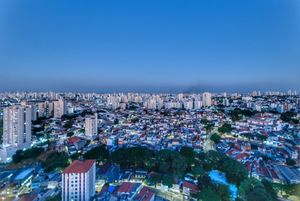 Image 9 - 918996