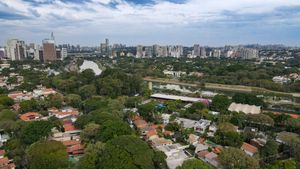 Image 43 - 919021