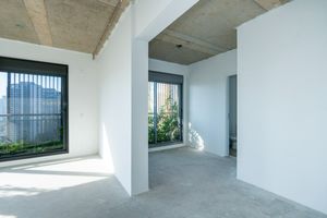 Image 36 - 919132