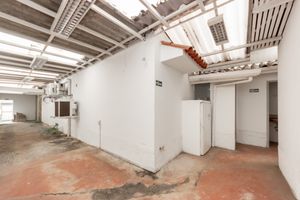 Image 36 - 919166
