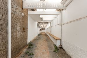Image 38 - 919166