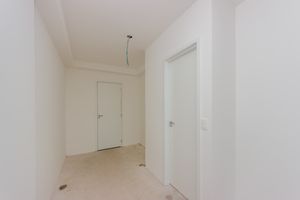 Image 16 - 919181