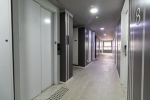 Image 15 - 919197