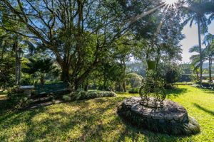 Image 8 - 919203