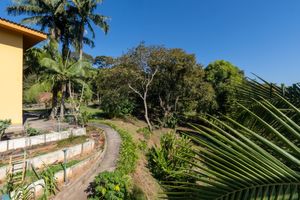 Image 85 - 919203