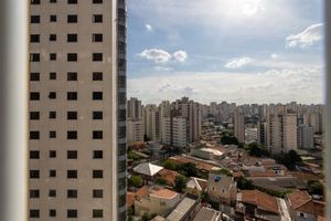 Image 24 - 919213