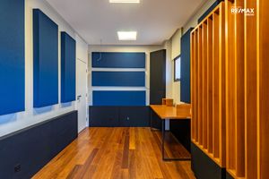 Image 33 - 919219