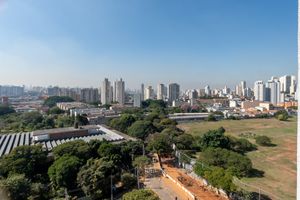 Image 20 - 919220