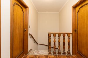 Image 13 - 919241