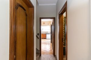Image 6 - 919241