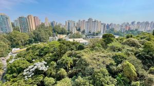 Image 8 - 919287