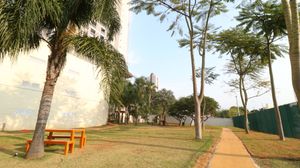 Image 29 - 919289