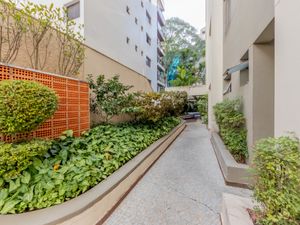 Image 17 - 919299