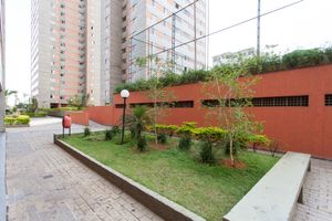 Image 20 - 919325