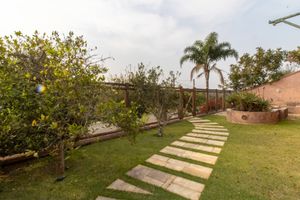 Image 106 - 919328