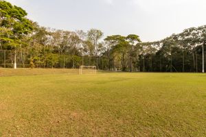 Image 111 - 919328