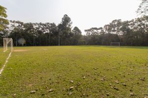 Image 112 - 919328