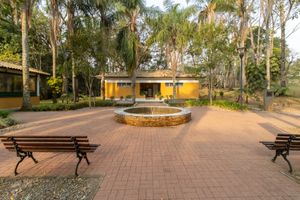 Image 119 - 919328