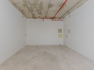 Image 7 - 919333