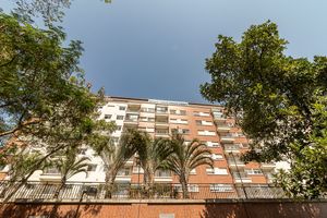 Image 31 - 919353