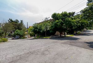Image 46 - 919383