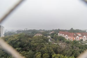 Image 16 - 9194