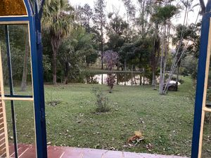 Image 54 - 919423