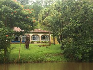 Image 8 - 919423