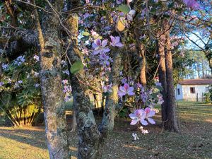 Image 58 - 919423