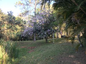 Image 56 - 919423