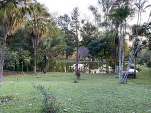 Image 57 - 919423
