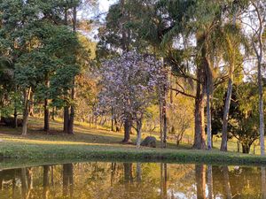 Image 70 - 919423